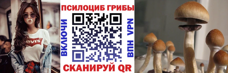 KRAKEN ССЫЛКА  Киреевск  Галлюциногенные грибы ЛСД 