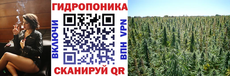 Каннабис OG Kush  Киреевск 